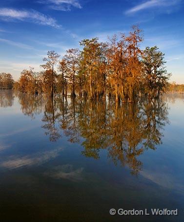 Lake Martin_45453-5.jpg - Photographed near Breaux Bridge, Louisiana, USA.